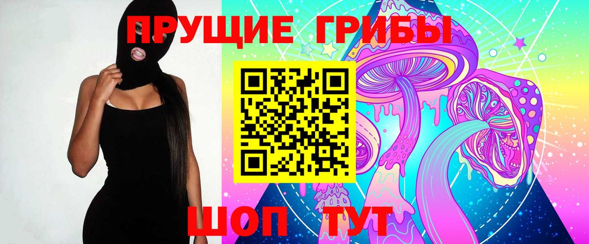 Псилоцибиновые грибы мицелий Добрянка