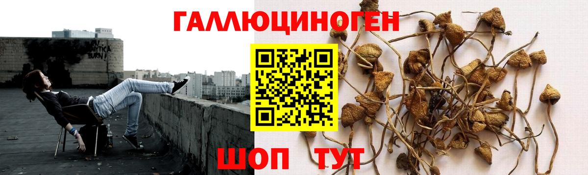 Галлюциногенные грибы мухоморы  Вход с VPN  наркотики  Добрянка 